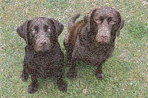 helenelizabethx 1 by helenelizabethx