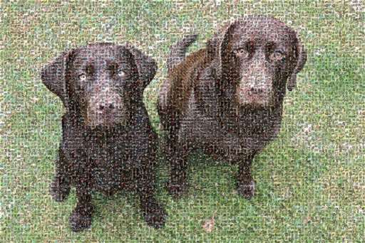 helenelizabethx 2 by helenelizabethx