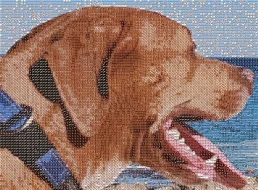 Zeus1 by watchedliketruman1