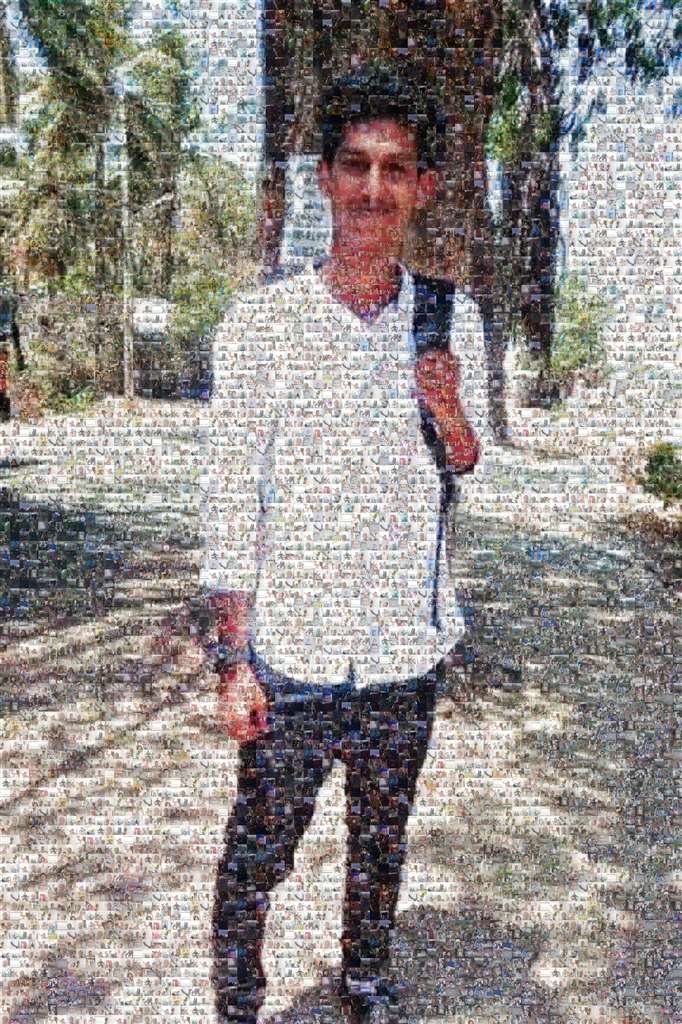MosaicImg