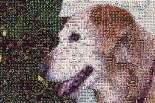 mrsgreis14 8 by mrsgreis14