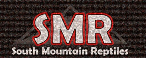 SMR-Snakes by smrcorns