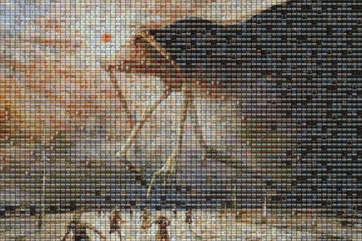 Untitled by meltingparaiso