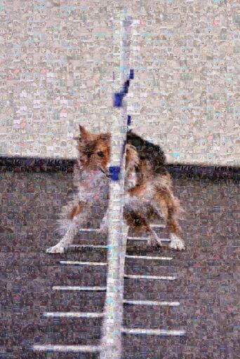 Untitled by raptorpup1