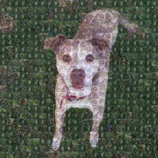 Brutus by curticemccarthy