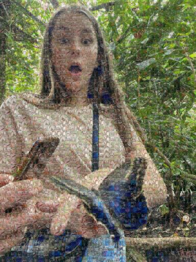 Fjärilshuset  by eliassigemo