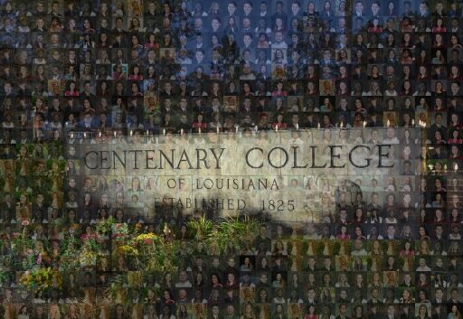 Holiday Card 2020 by sheflin1