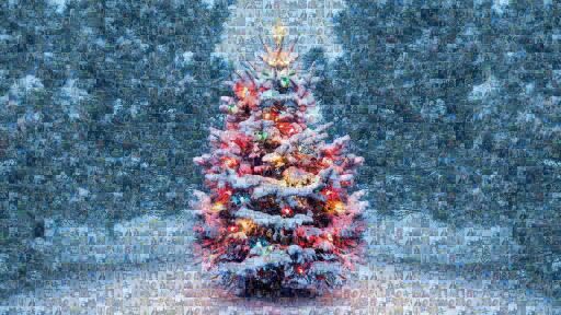 Christmas test by diener