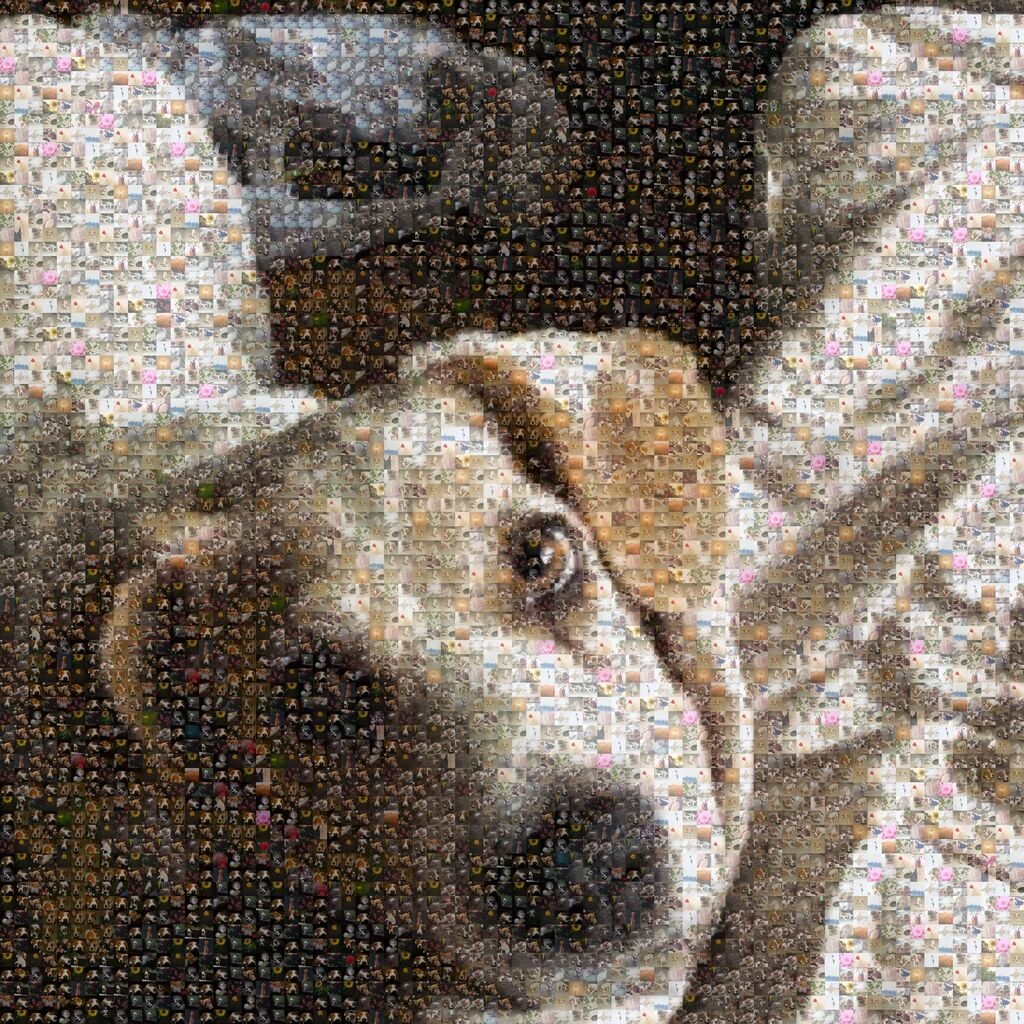 MosaicImg