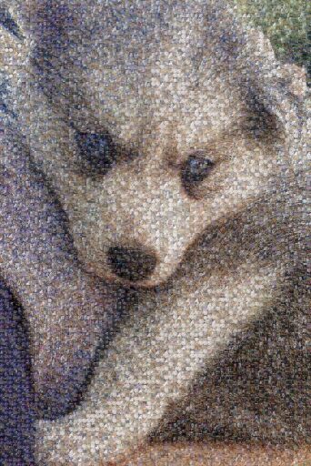 Untitled by werewolfgirl3133