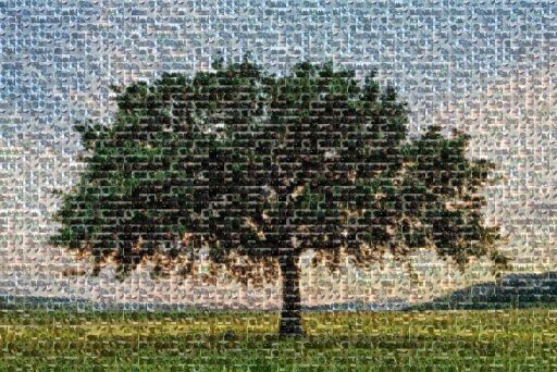 Untitled by eskimointexas