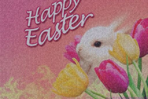 Happy Easter with Warframe bunnies! by pikazard