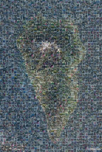 VolutariosLaPalmaCoronaVirusMakers by agnuca