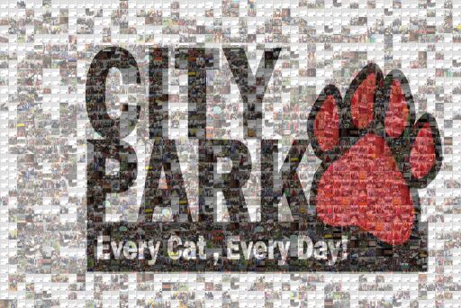 2019-2020 City Park Fifth Grade Farewell by hannahtalley