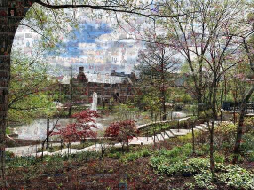 Mirror Lake by lmseitz3