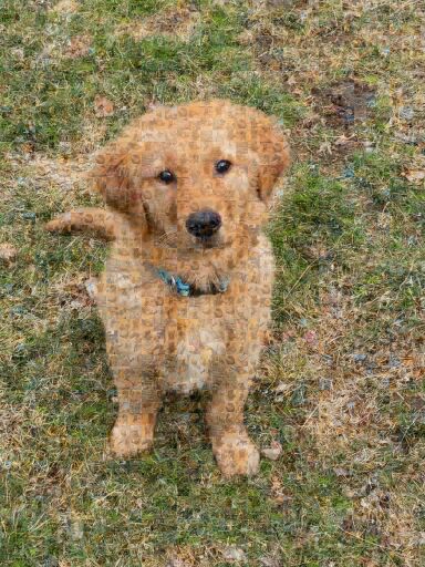 Untitled by leftylivingston