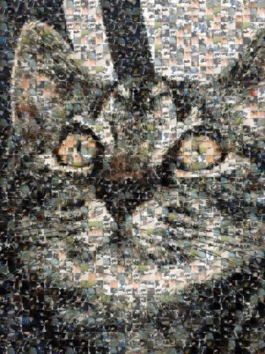 Untitled by felixderpy