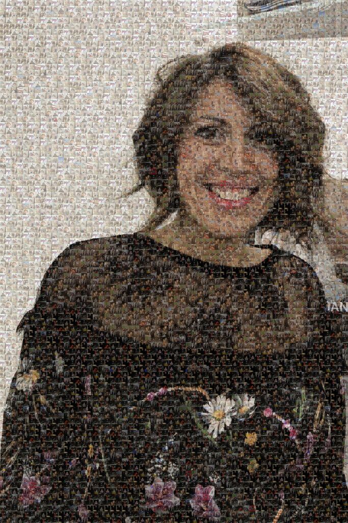 MosaicImg