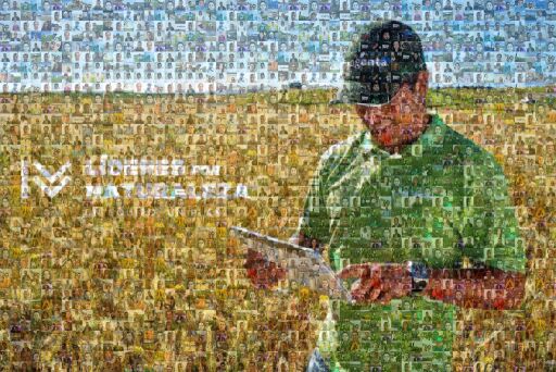 Syngenta Perfiles by inmovsas