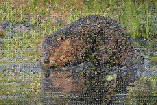 Beavers as Keystone Species by louisedamit