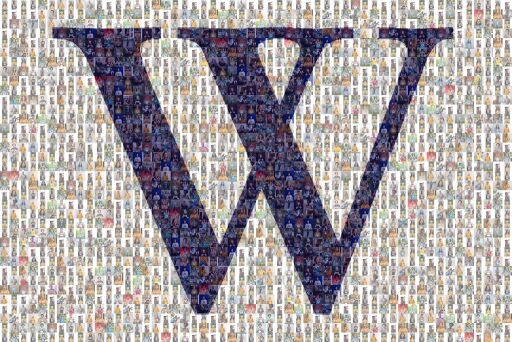 Webster University - New Student W by websteru