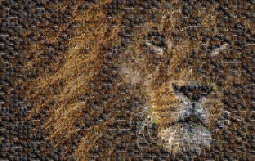 Untitled by tnevlida