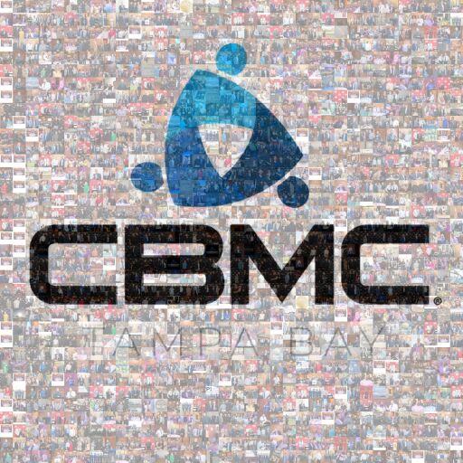CBMC Tampa Bay Mosaic by davidnay