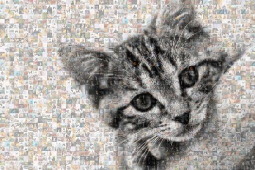 Untitled by 26sicha01