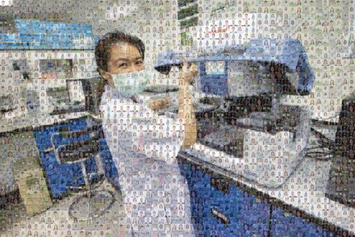 Women in Science at East-West Seed by ews