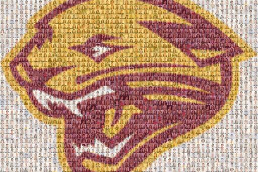 dths 2021 mosaic by nsharifi23