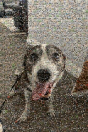 Untitled by ceceboyce