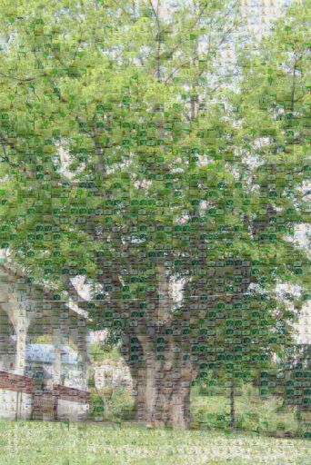 FORESTY DAY 2021 by selvihan