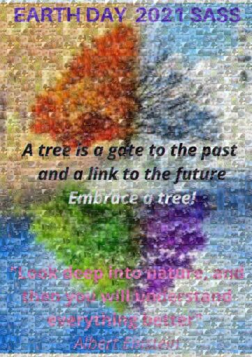 Embrace a tree! Earth Day 2021 by samsciencesass