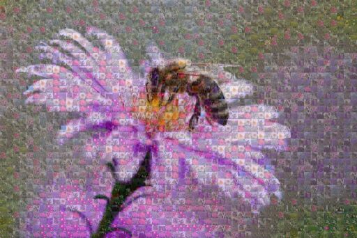 Untitled by katarinafruk