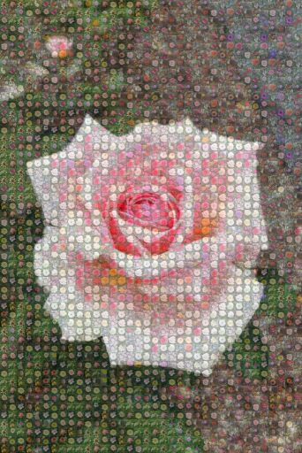 Untitled by gabrielreubenyoung