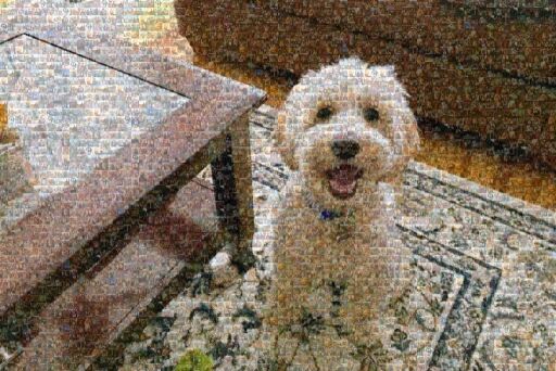 Duncan at the Bridal Shower by marcie89