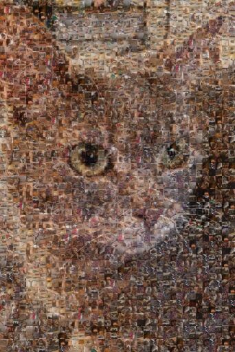 Untitled by kevinm2052