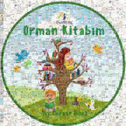 Orman Kitabım eTwinning Projesi by kubraogretmen01