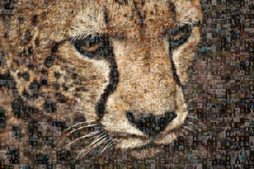 Untitled by petrolapchak