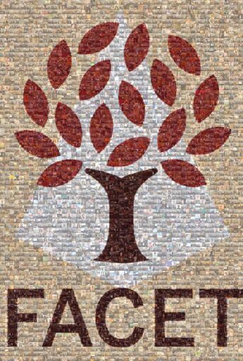 FACET Retreat 2 by facet