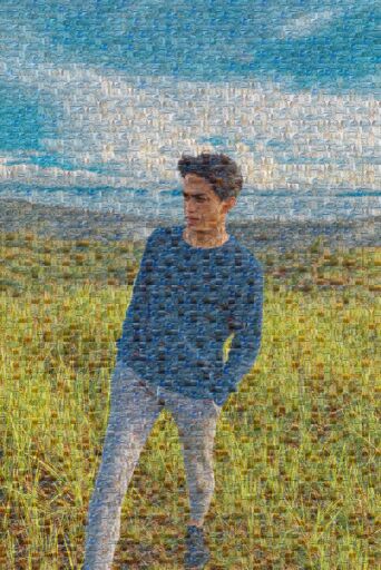 MOSAIC by ceniza54932