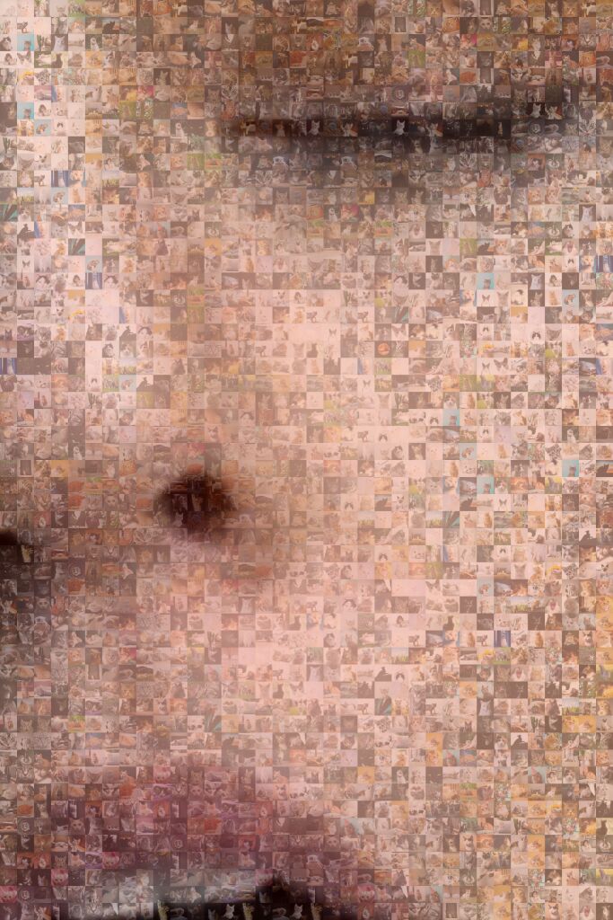 MosaicImg