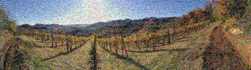 QUOVADO by marcoseme