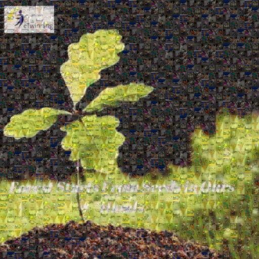 Forest From Seeds In Olur Hands by akcesmeaysun