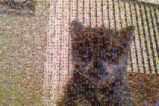 My puppy
 Copy by queensgaurddog