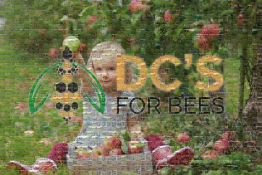 DCs for Bees by dcsforbees