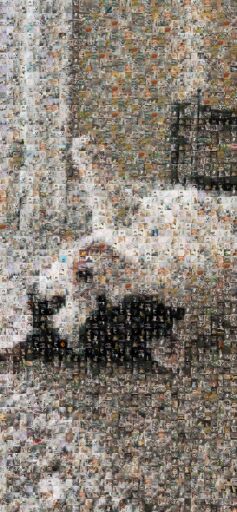 Untitled by lceichberg