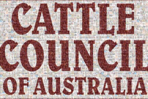 Women of Cattle Council by mrrobherrick