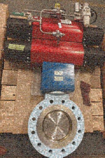 Untitled by berubejam