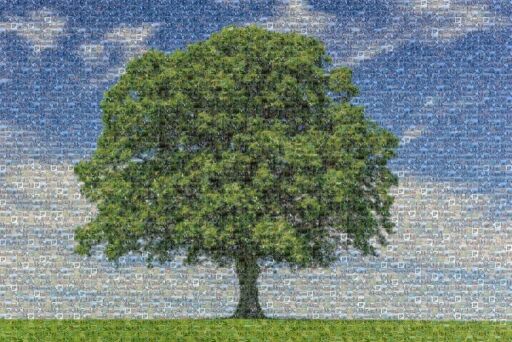 PLANTING COLLABORATIVE AND COMMON PRODUCT by mertabi0127